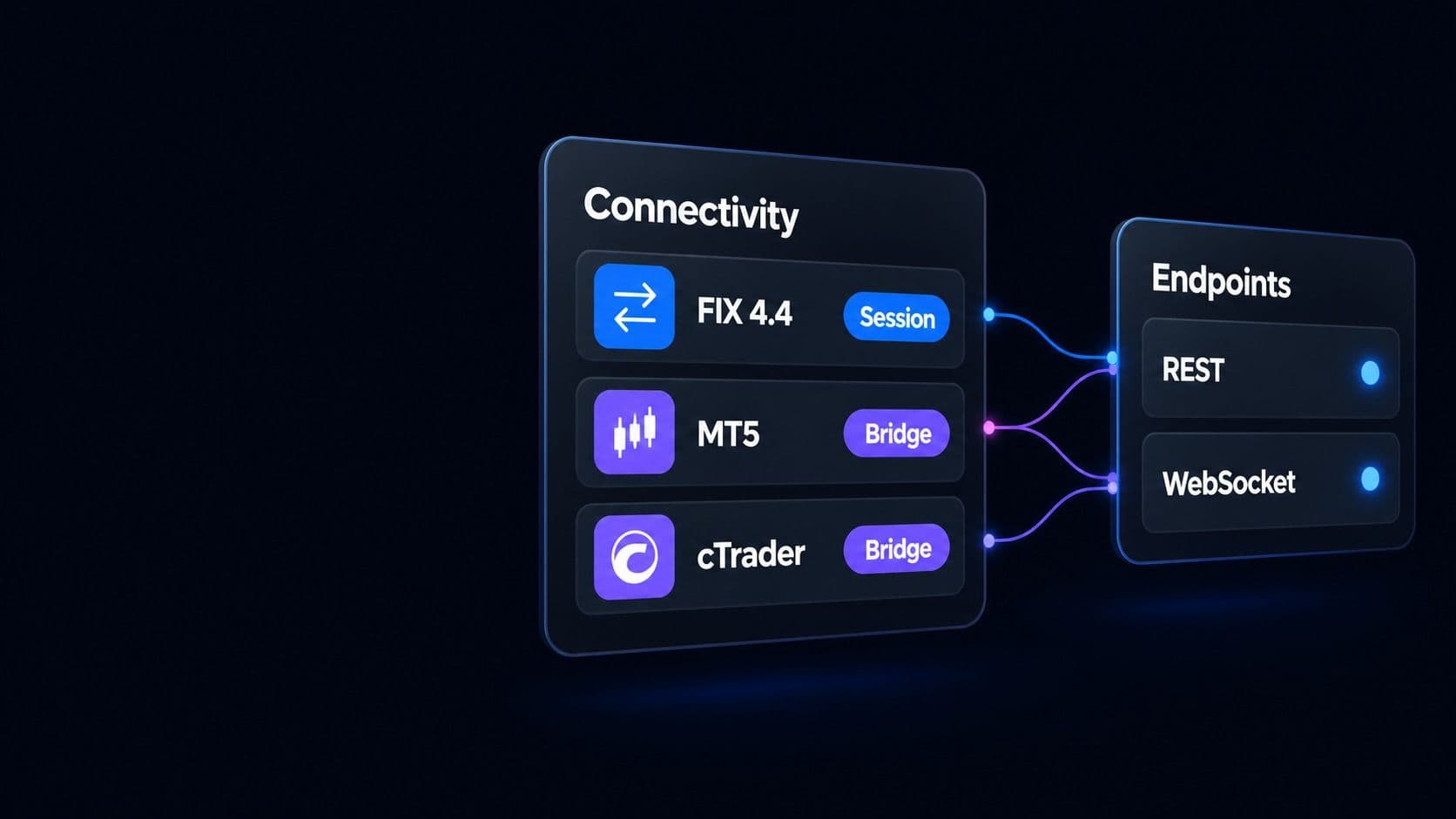 A connectivity card listing a FIX 4.4 session and MT5 and cTrader bridges, beside REST and WebSocket endpoints