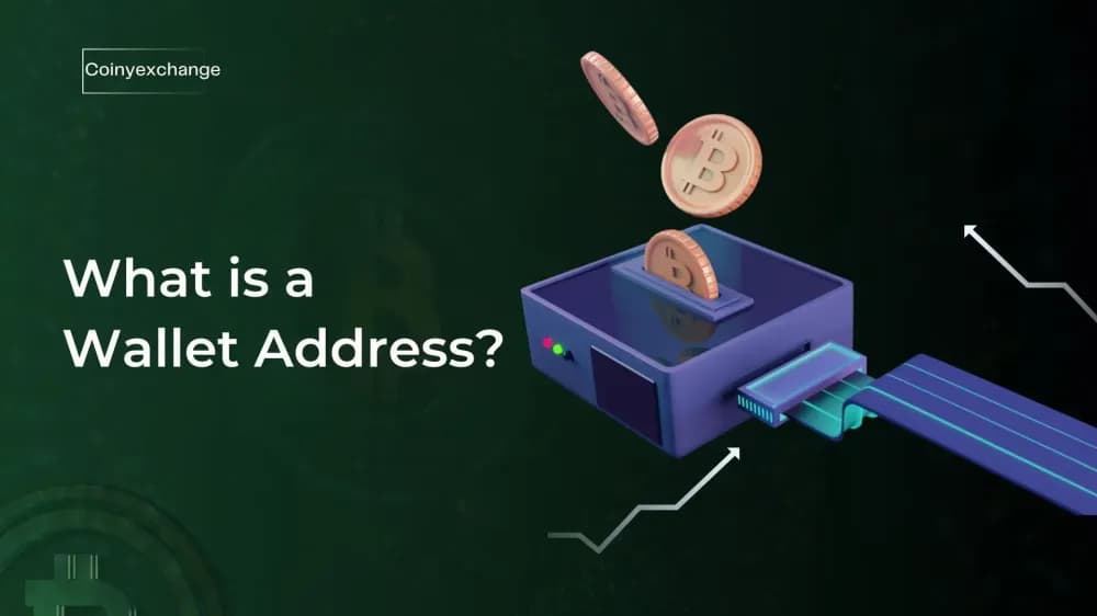 What Is a Wallet Address?