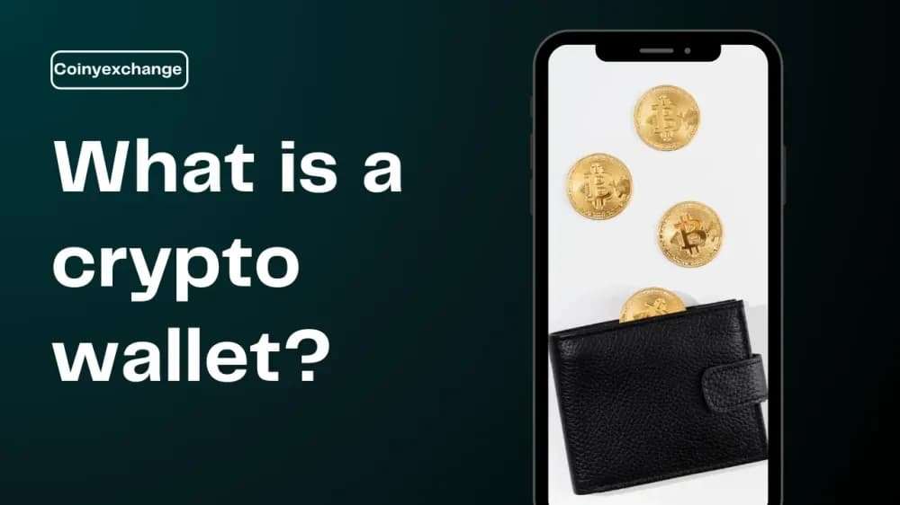 Complete Guide to Crypto Wallet