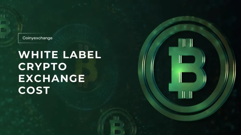 Detailed Guide to White Label Crypto Exchange Cost